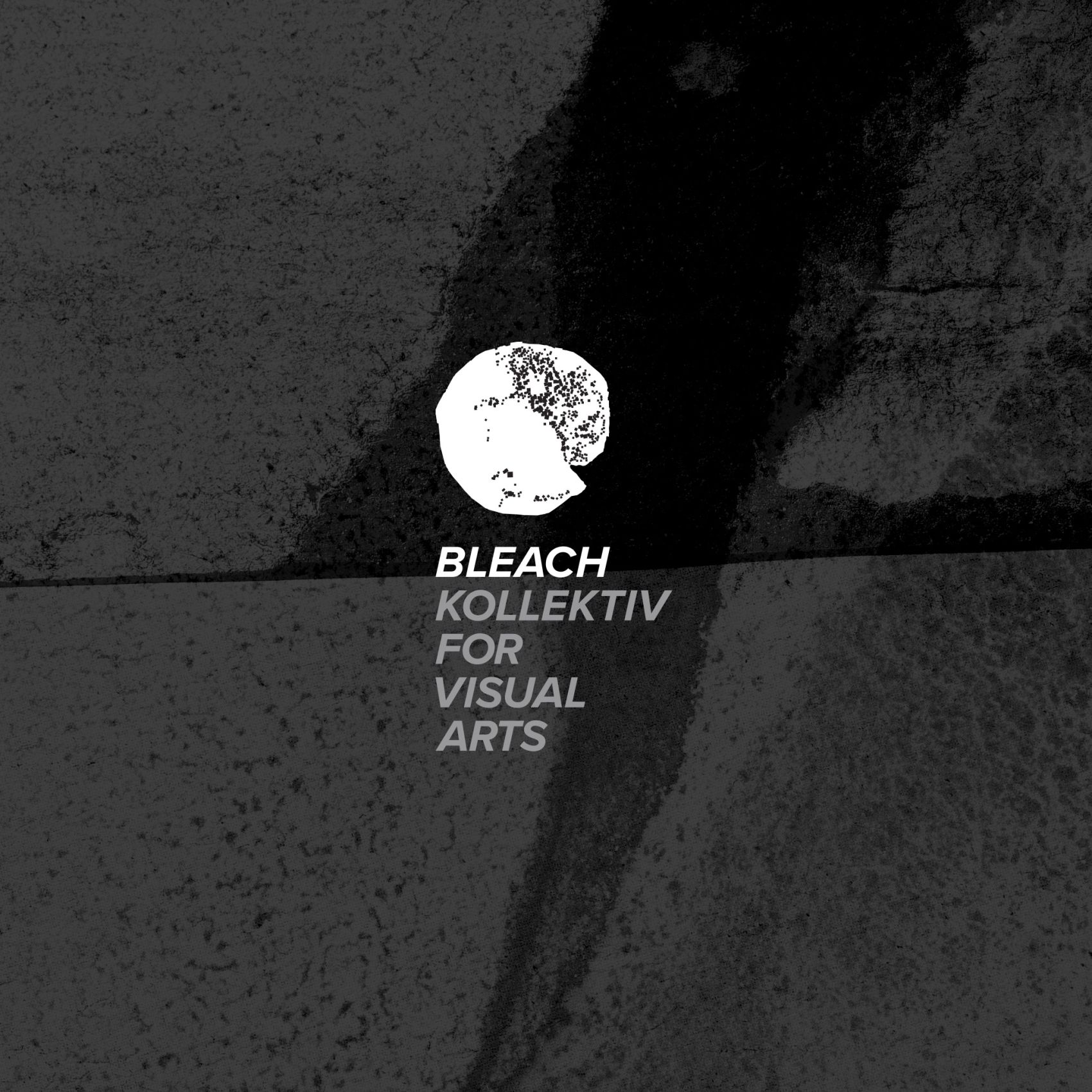 bleach-kollektiv-for-visual-arts-branding