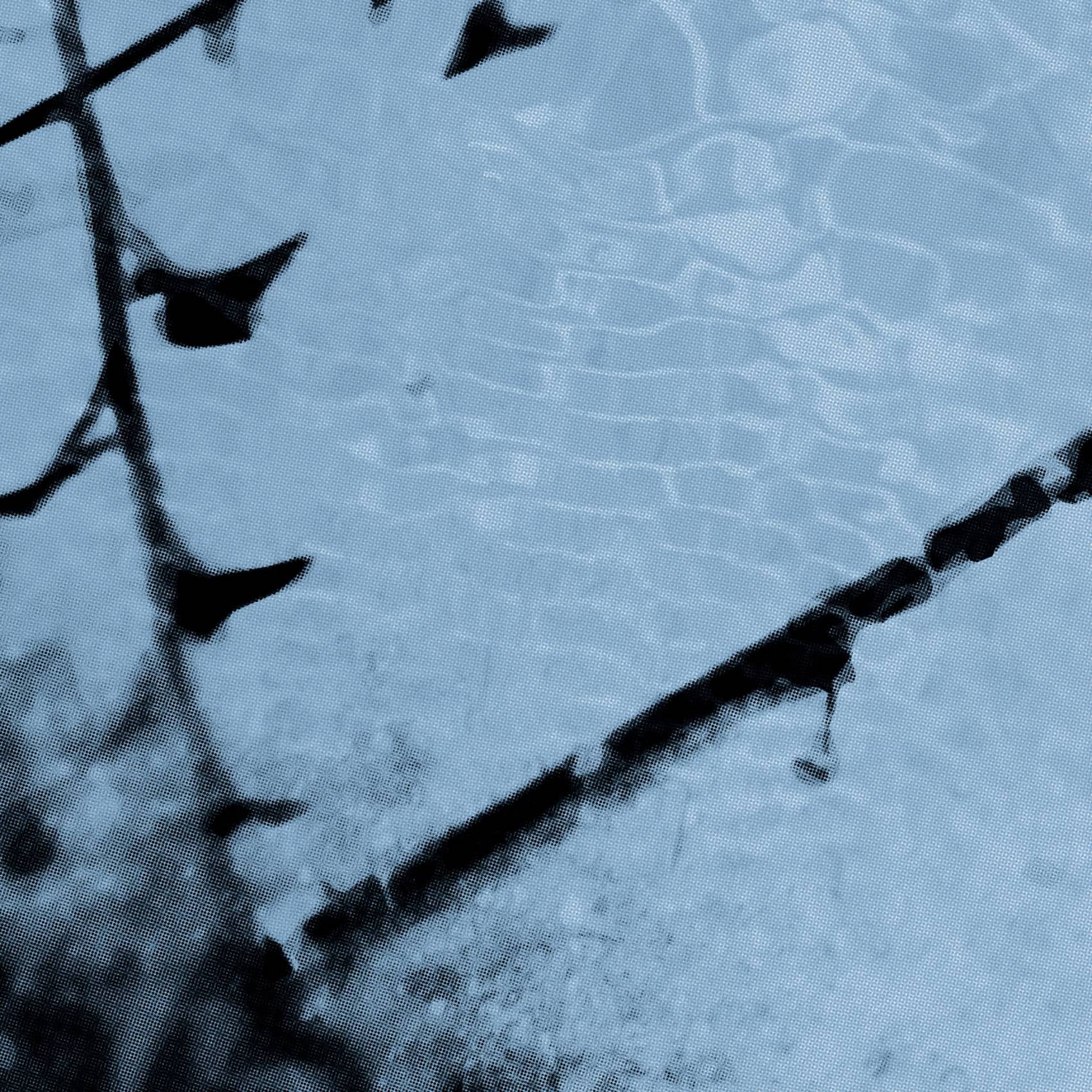 the river runs through the village - short film - visual identity by mb―design