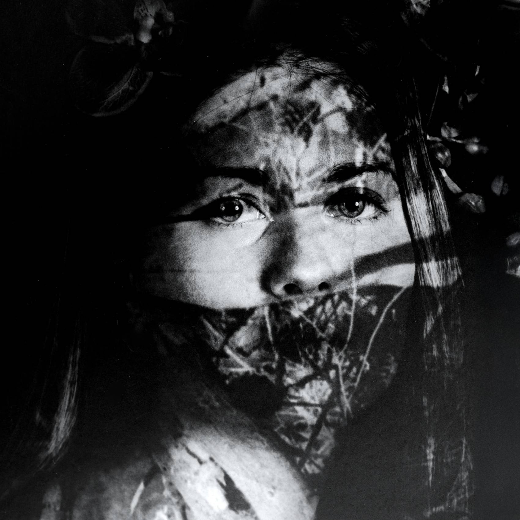 fluid world - visual identity by mb―design