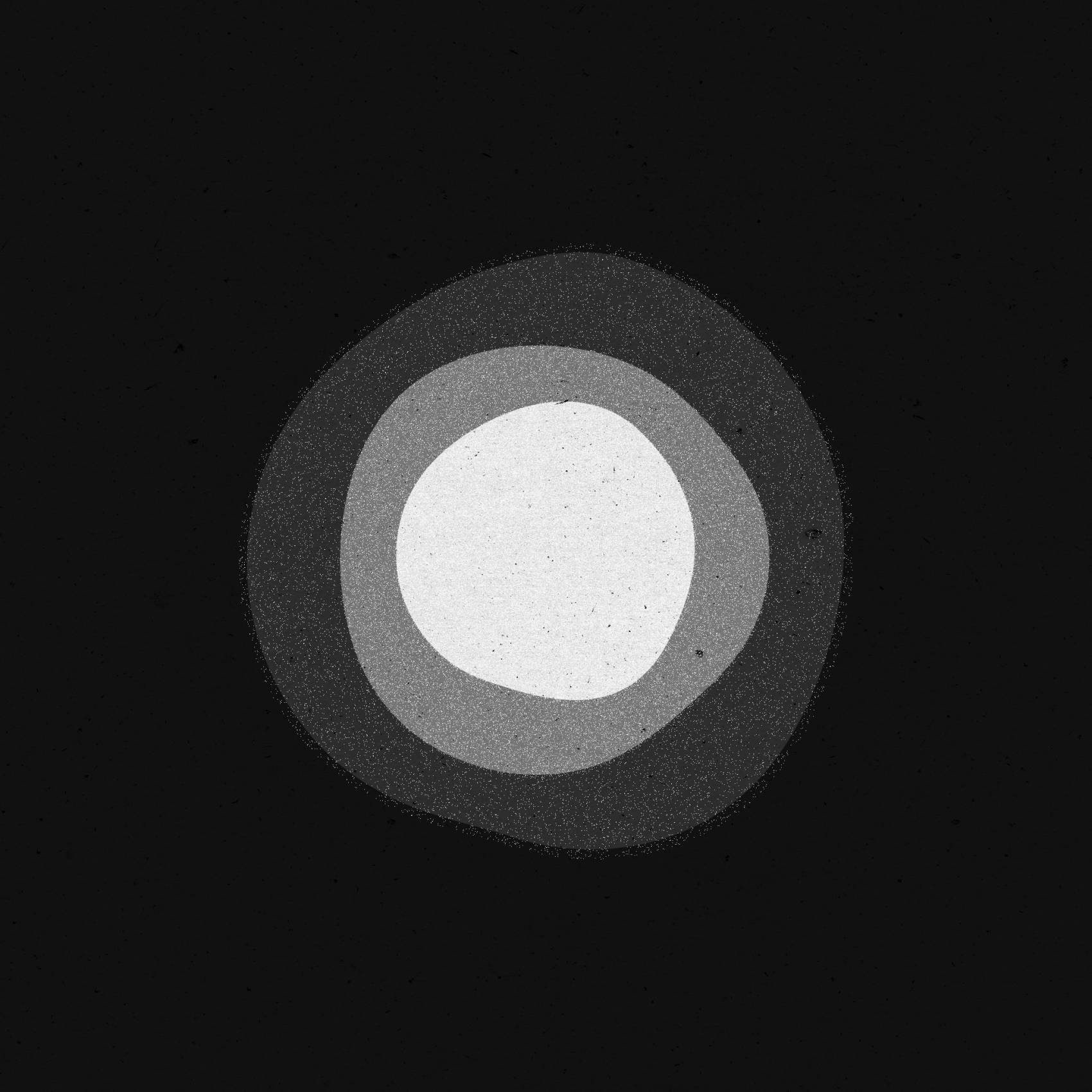 palmós-ensemble-visual-identity-mb―design