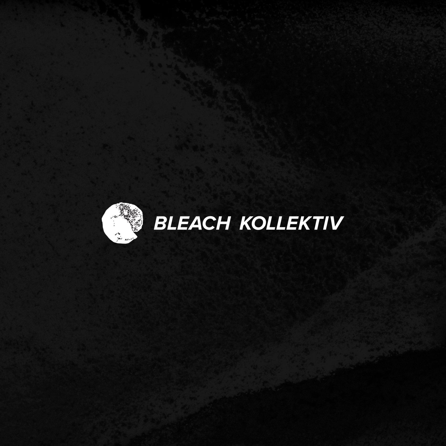 bleach-kollektiv-for-visual-arts-branding